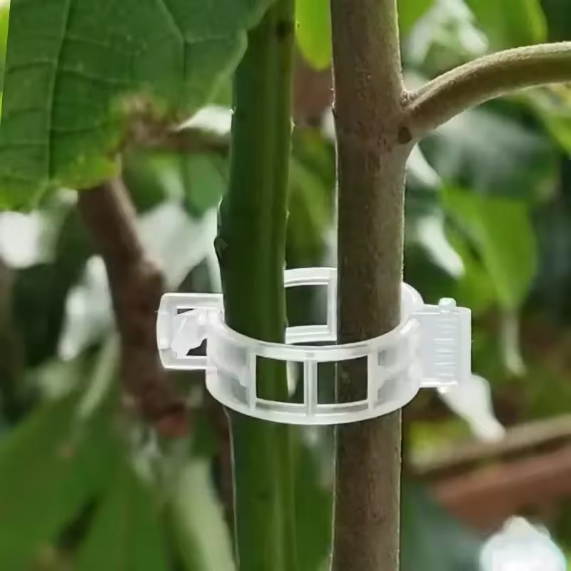 Gardening Tools For Vines - 500/50PCS Plant Support Clips Reusable Plastic