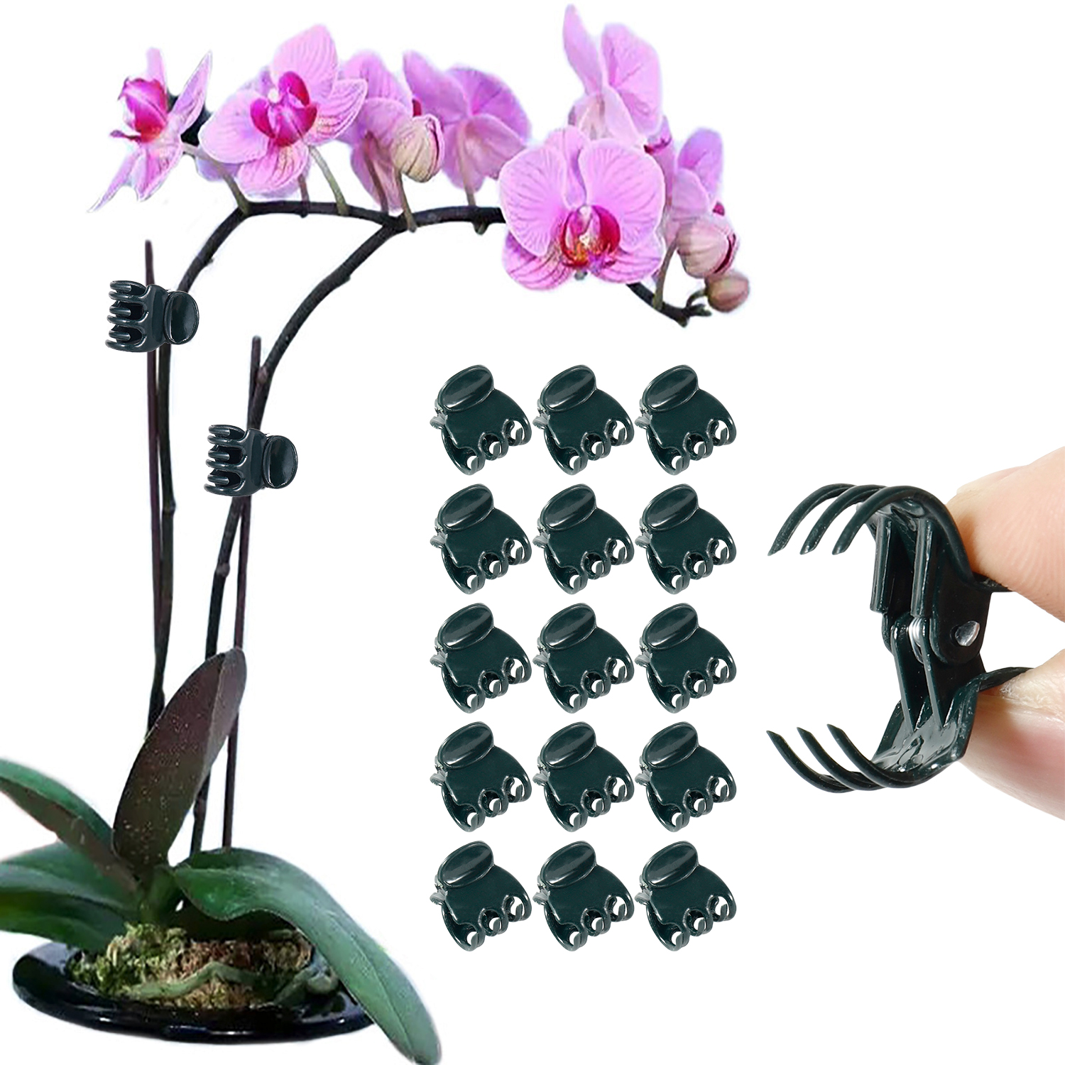 Gardening Tools For Vines - 50/100Pcs Plant Clips Butterfly Orchid Flower