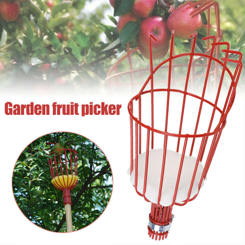 Fruit Picking Machine Fruit Co - Gardening Tools Equipment recensione e prezzo