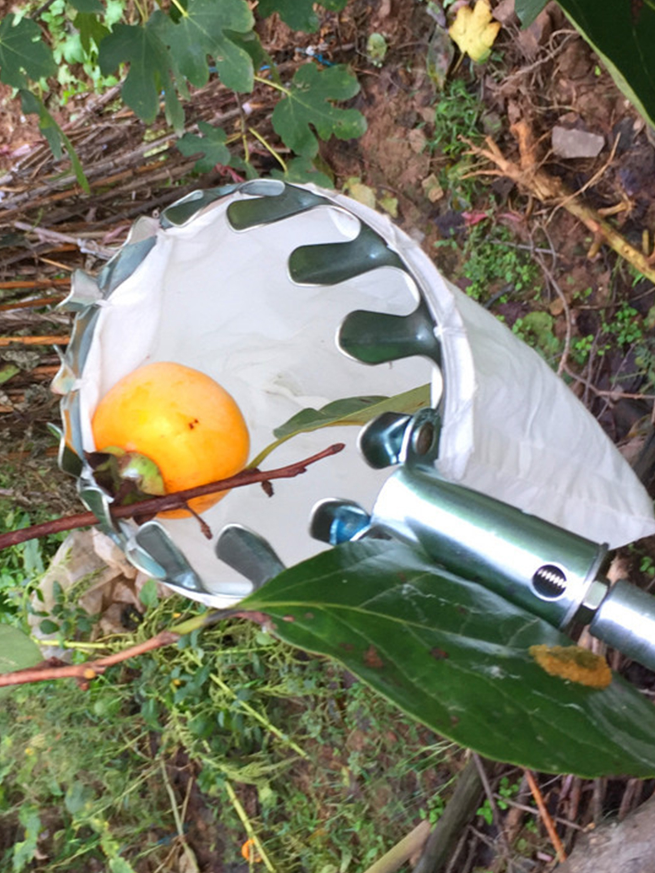 Fruit Picking Machine Fruit Co - Gardening Tools Equipment recensione e prezzo