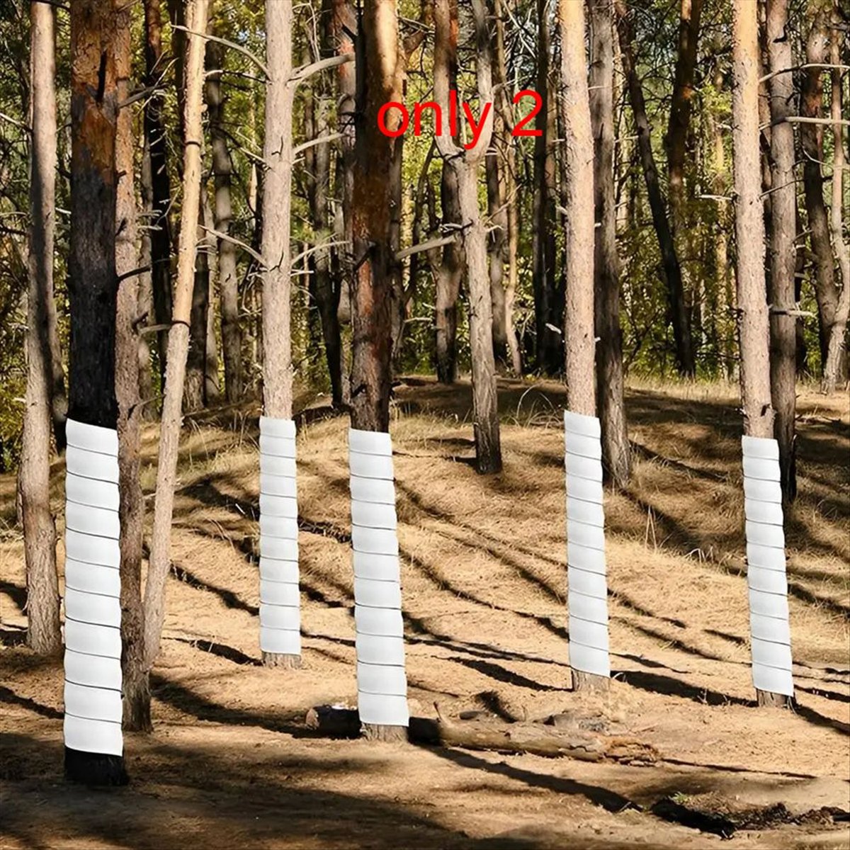 A75K Plant Tree Trunk Protecto - Gardening Tools B&Q recensione e prezzo