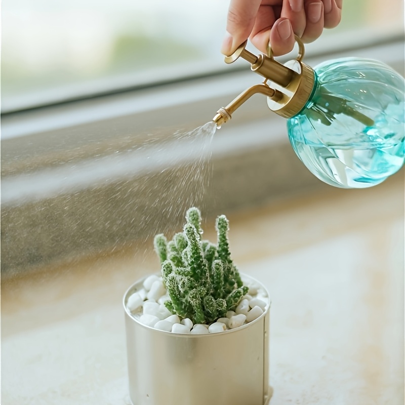 Household Plastic Spray Bottle - Gardening Tools Vintage recensione e prezzo