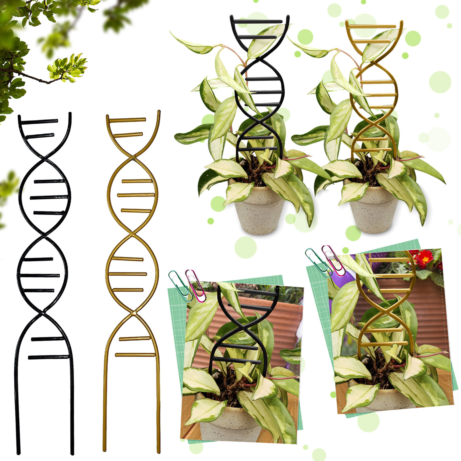 Plant Climbing Support Gardens - Gardening Tools For Vines recensione e prezzo