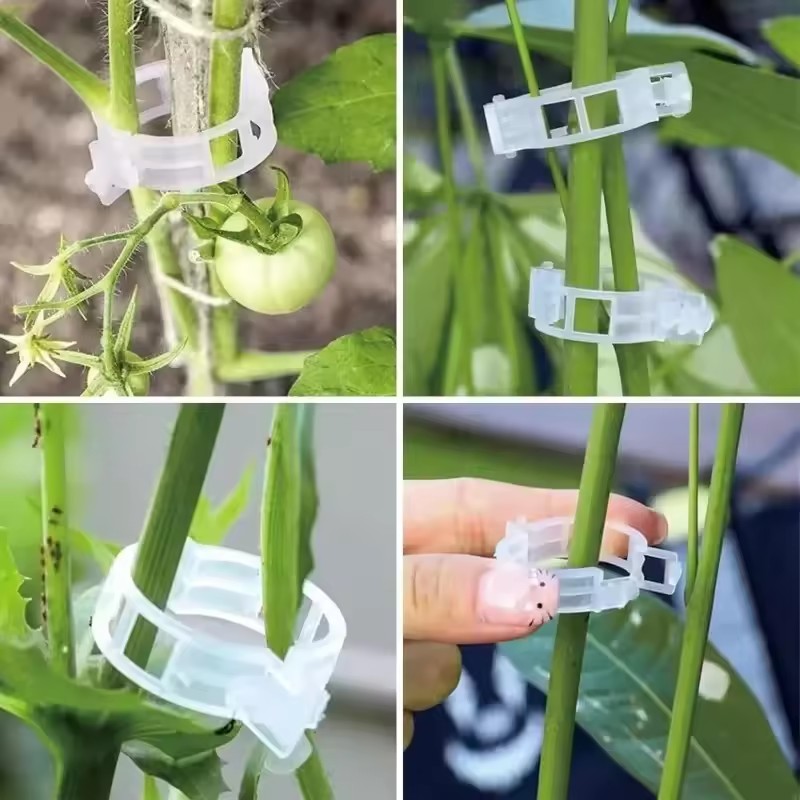 500/50PCS Plant Support Clips  - Gardening Tools For Vines recensione e prezzo