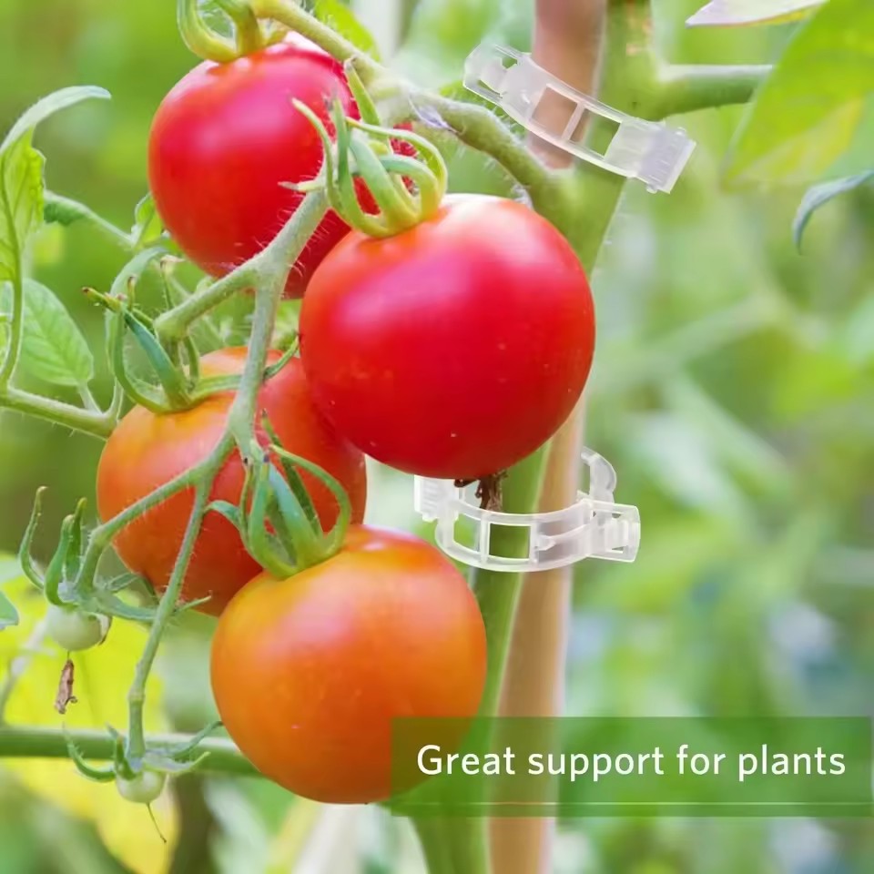 500/50PCS Plant Support Clips  - Gardening Tools For Vines recensione e prezzo