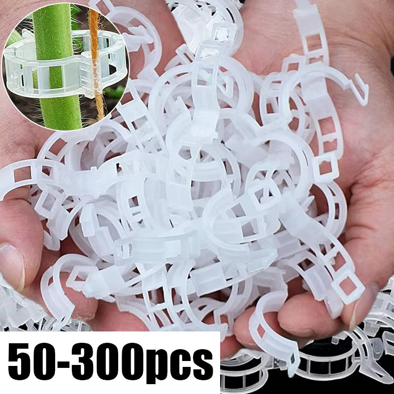 50-300PCS Plant Support Clips  - Gardening Tools For Vines recensione e prezzo
