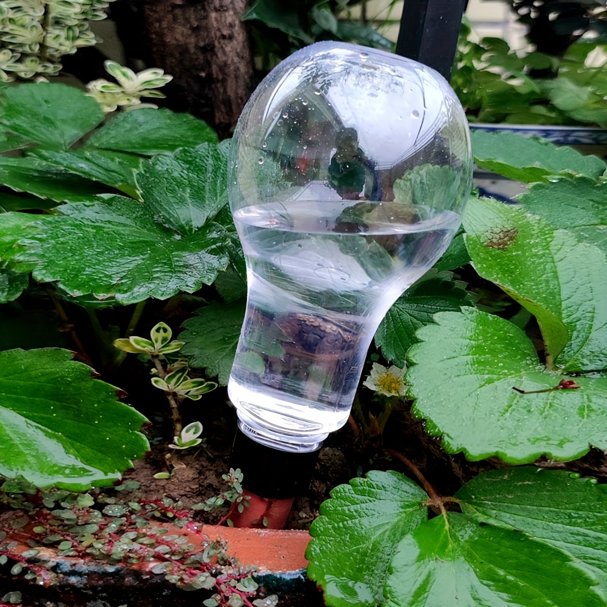 Garden Automatic Watering Tool - Gardening Tool Diy recensione e prezzo