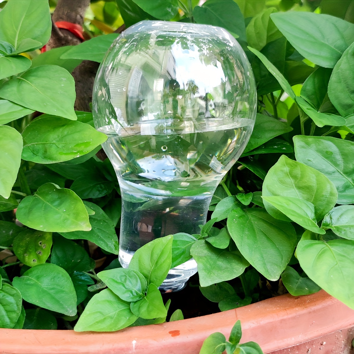 Garden Automatic Watering Tool - Gardening Tool Diy recensione e prezzo