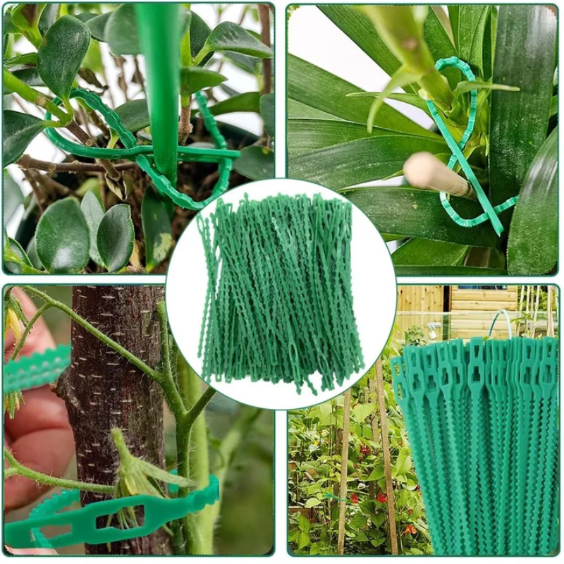 Reusable Garden Cable Ties Pla - Gardening Tools For Vines recensione e prezzo