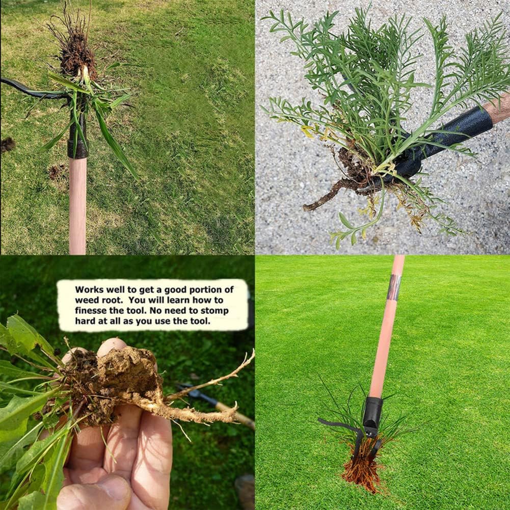 Stand Up Weed Puller Tool Deta - Gardening Tools On Sale recensione e prezzo