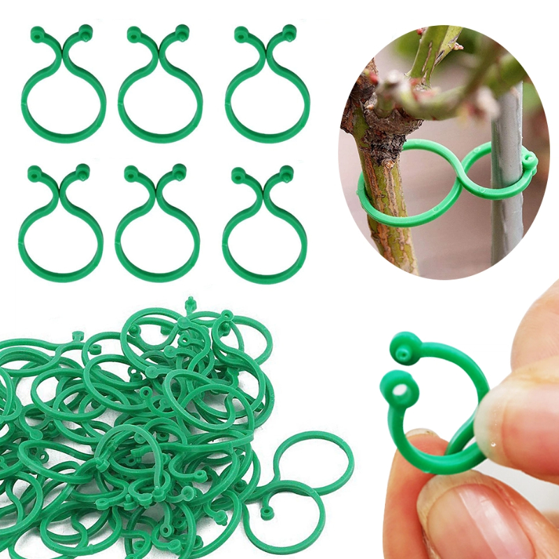 S/L Garden Vine Strapping Clip - Gardening Tools For Vines recensione e prezzo