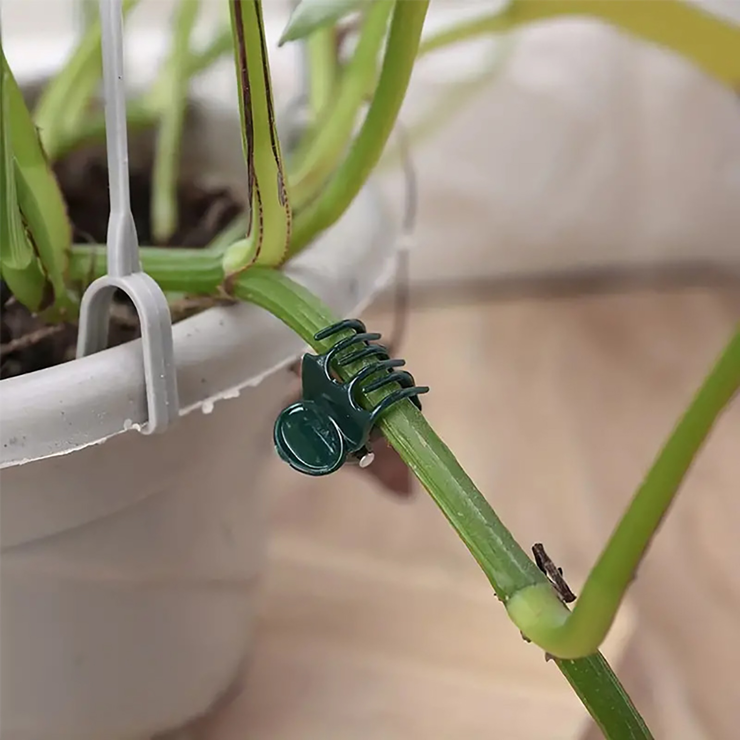 50/100Pcs Plant Clips Butterfl - Gardening Tools For Vines recensione e prezzo