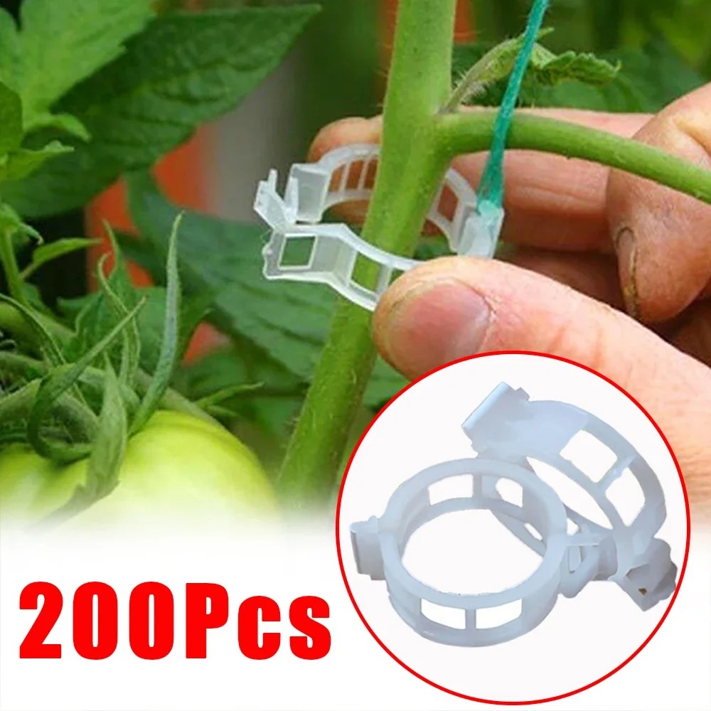 50/100/200Pcs Plastic Support  - Gardening Tools For Vines recensione e prezzo