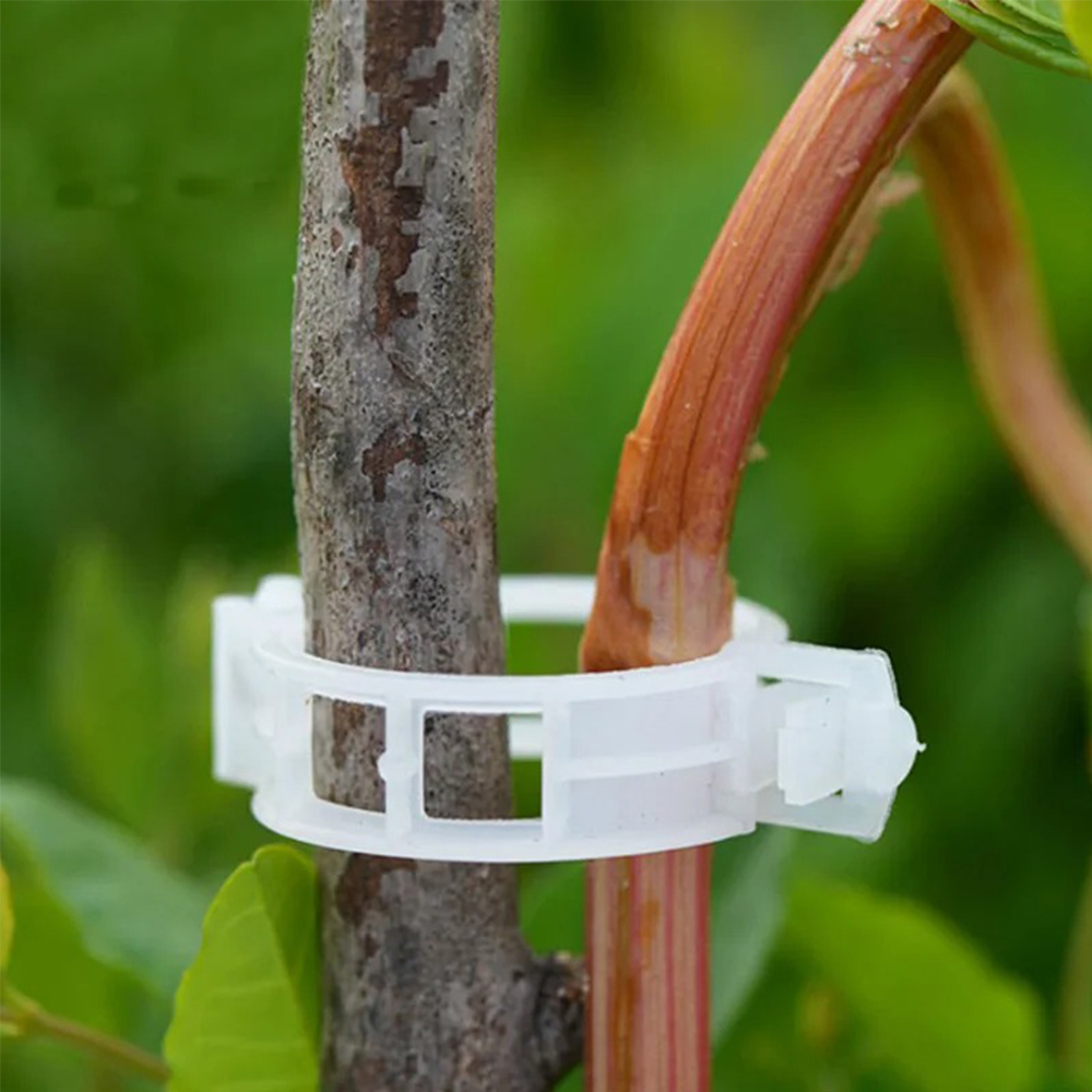 50/100/200Pcs Plastic Support  - Gardening Tools For Vines recensione e prezzo