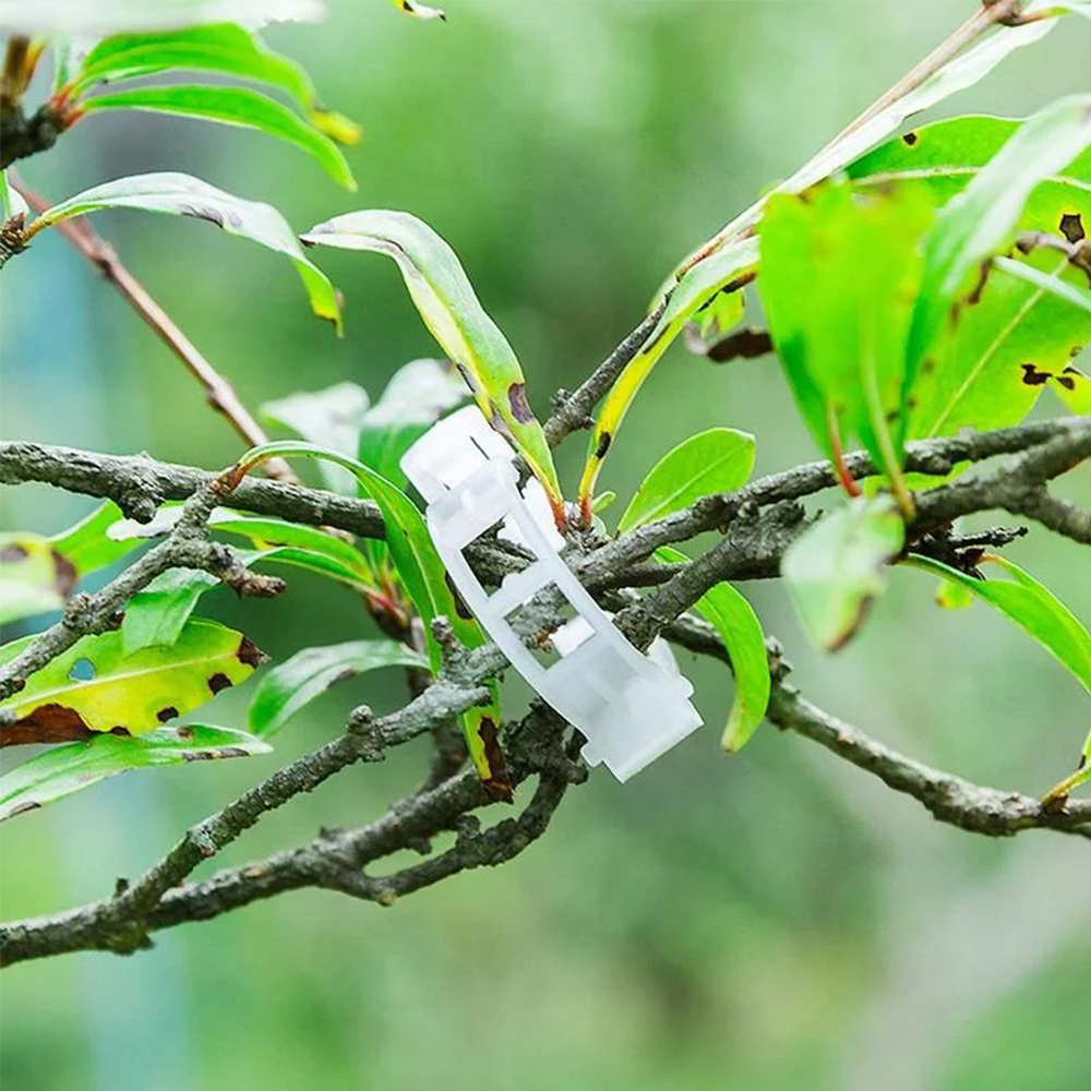 50/100/200Pcs Plastic Support  - Gardening Tools For Vines recensione e prezzo