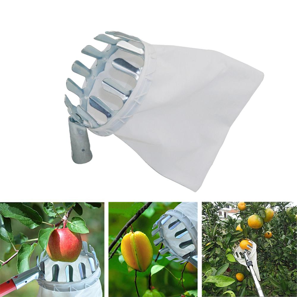 Garden Pruning Fruit Picker Ga - Gardening Tools Long recensione e prezzo