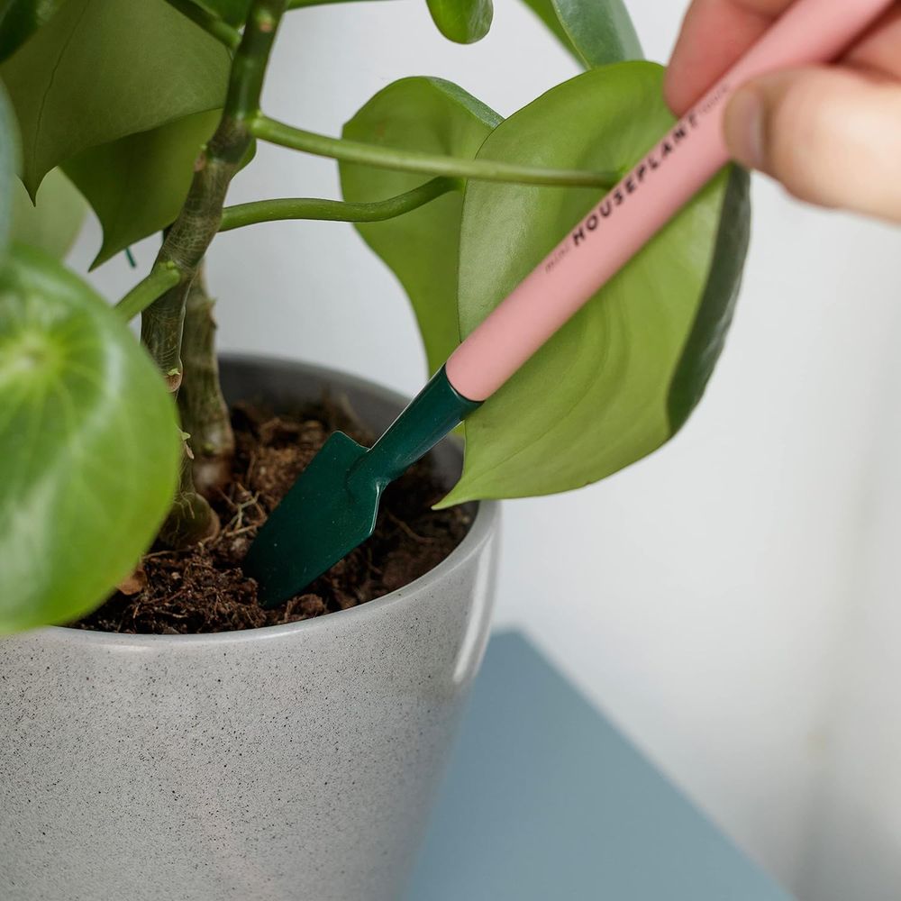 Compact Indoor Gardening Tools - Gardening Tools Pink recensione e prezzo