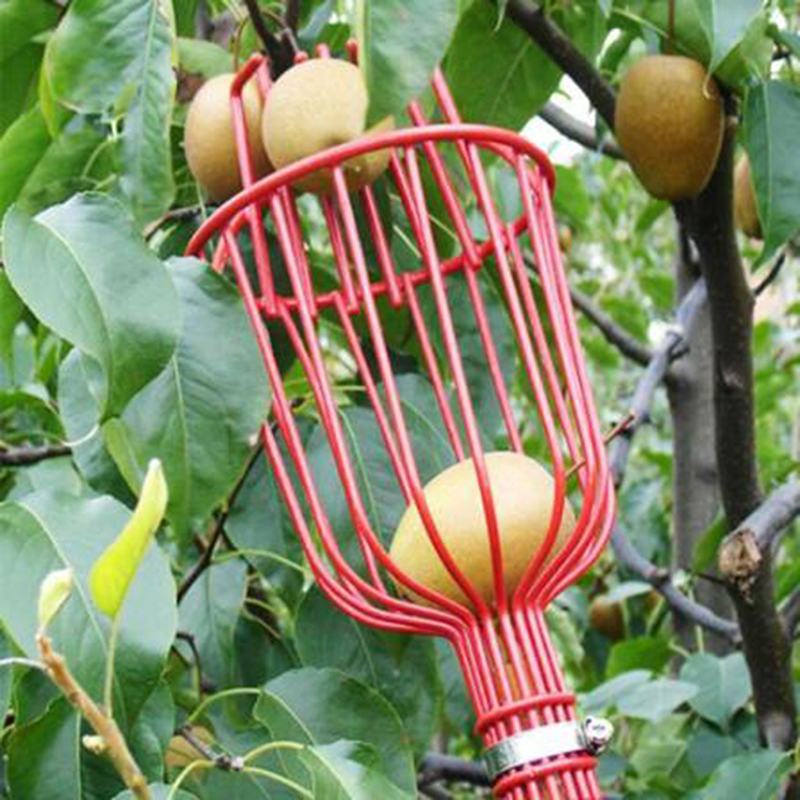 Fruit Picking Machine Fruit Co - Gardening Tools Equipment recensione e prezzo