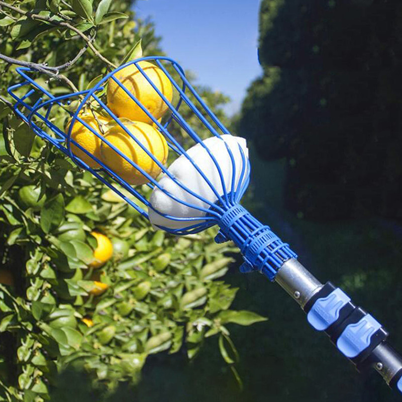 Fruit Picking Machine Fruit Co - Gardening Tools Equipment recensione e prezzo