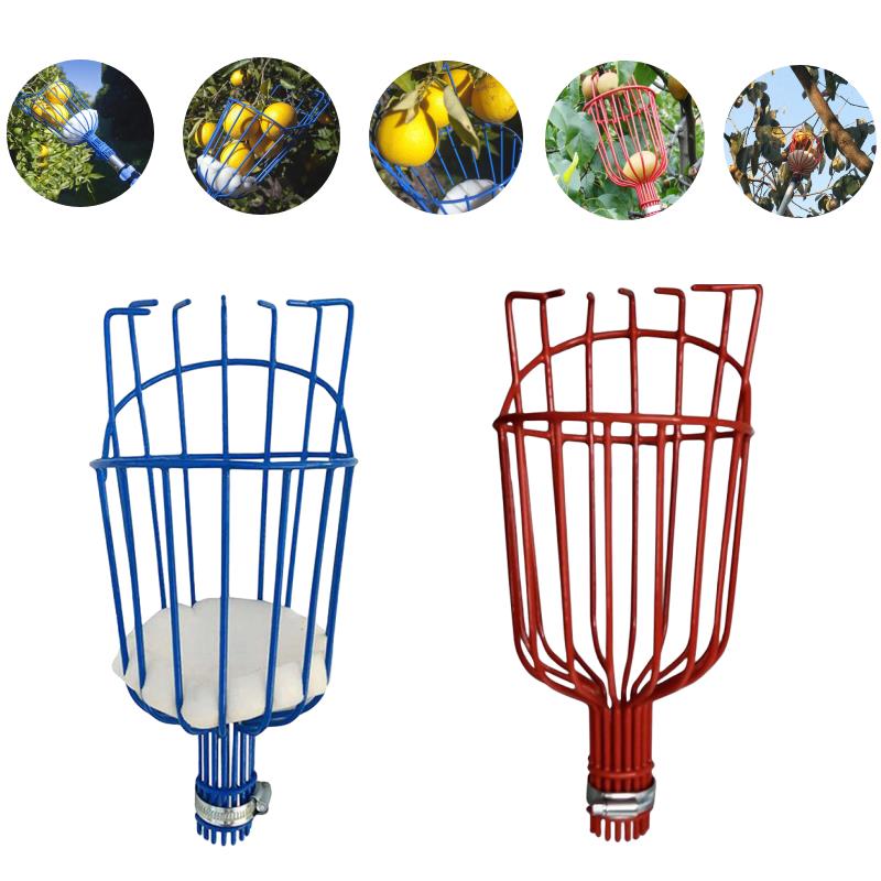 Fruit Picking Machine Fruit Co - Gardening Tools Equipment recensione e prezzo