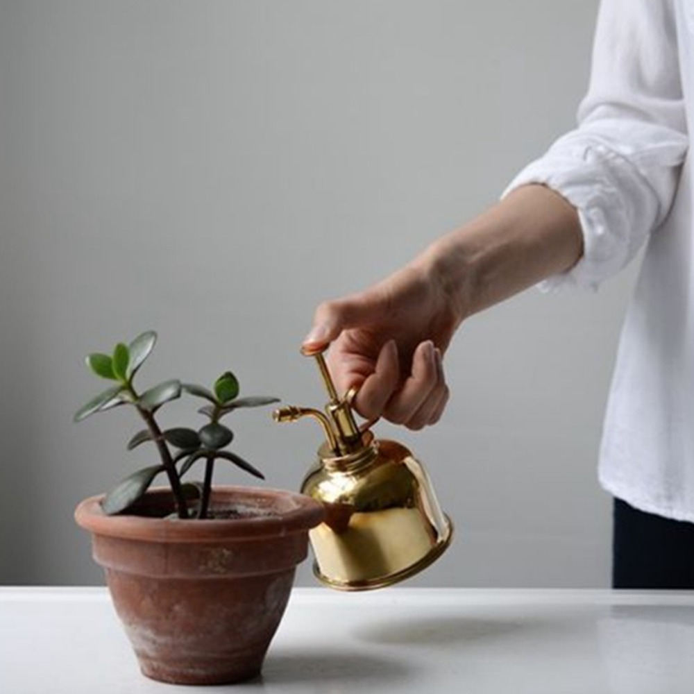 Brass Watering Can Spray Bottl - Gardening Tools Vintage recensione e prezzo