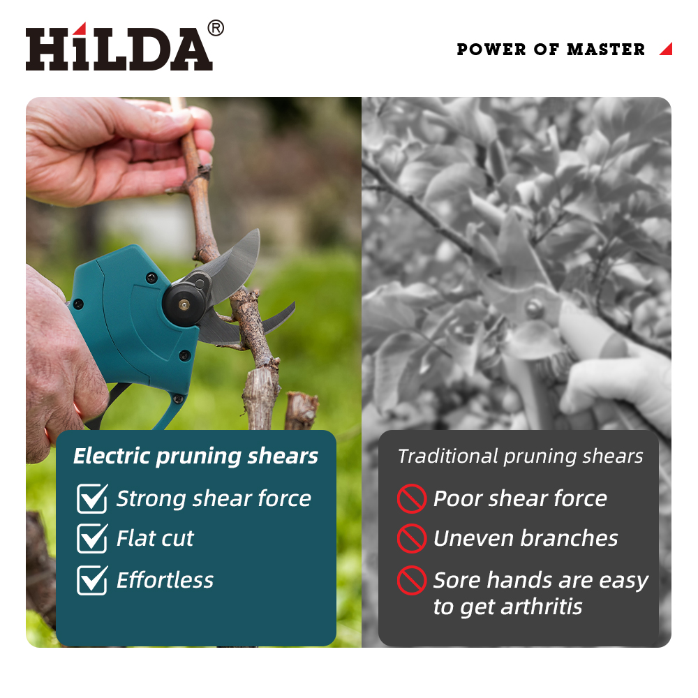 HILDA 18V Brushless Cordless E - Gardening Tools On Sale recensione e prezzo