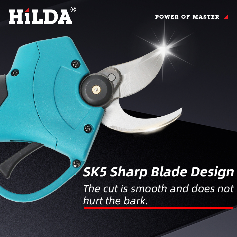 HILDA 18V Brushless Cordless E - Gardening Tools On Sale recensione e prezzo