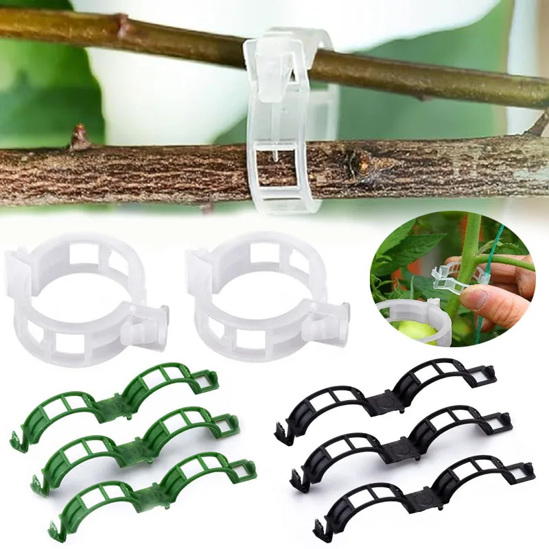 100PCS Plant Fixing Clips Reus - Gardening Tools For Vines recensione e prezzo