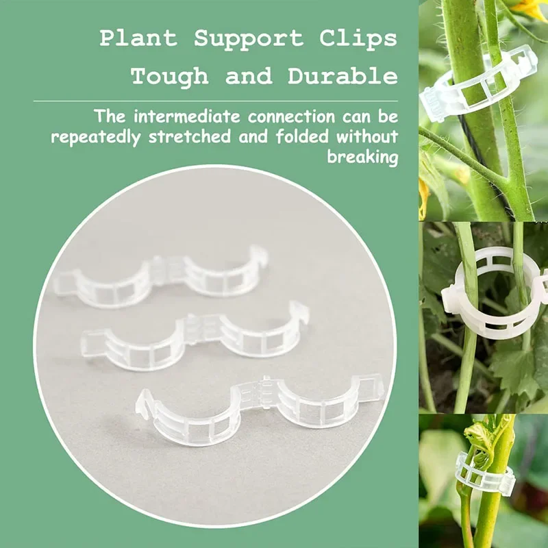 100PCS Plant Fixing Clips Reus - Gardening Tools For Vines recensione e prezzo