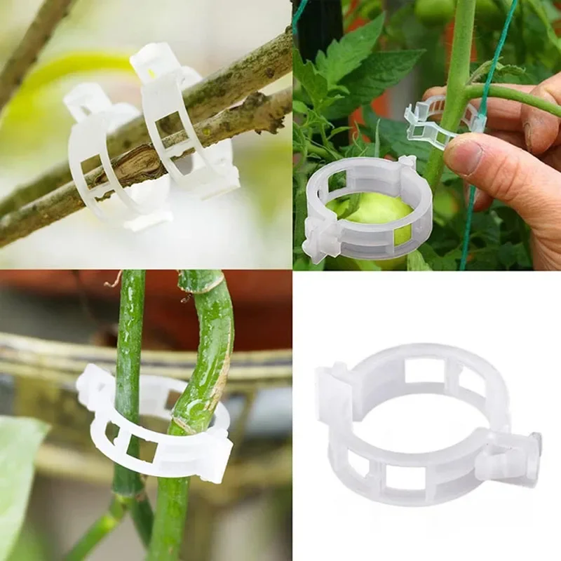 100PCS Plant Fixing Clips Reus - Gardening Tools For Vines recensione e prezzo