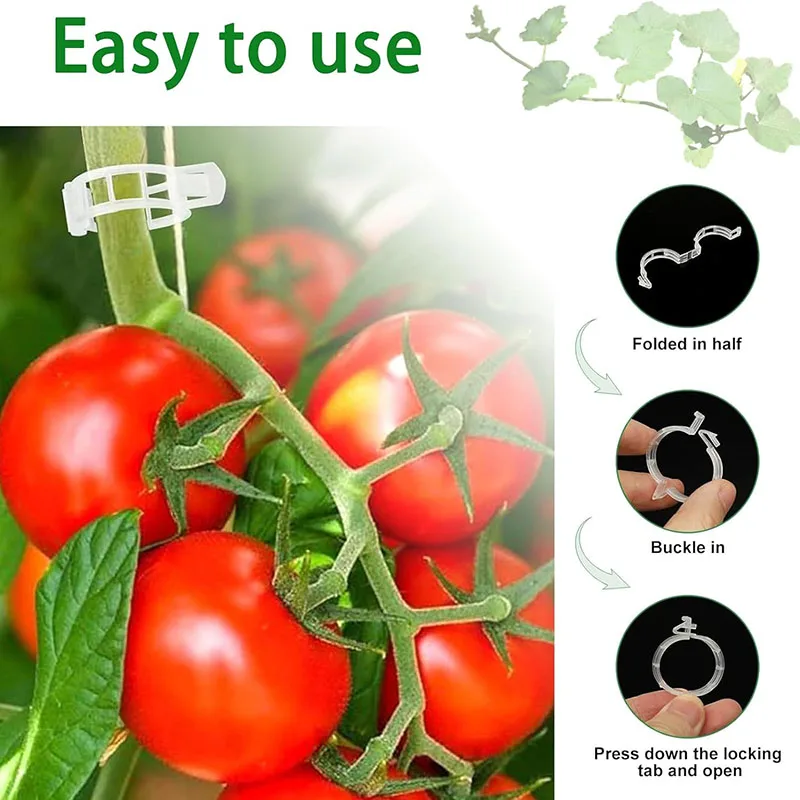 100PCS Plant Fixing Clips Reus - Gardening Tools For Vines recensione e prezzo