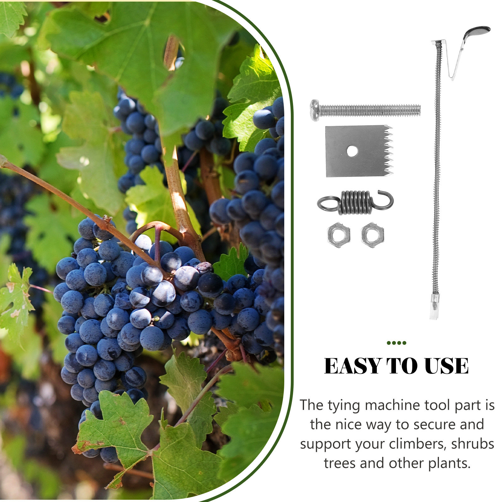 1 Set Stainless Steel Plant Ty - Gardening Tools For Vines recensione e prezzo