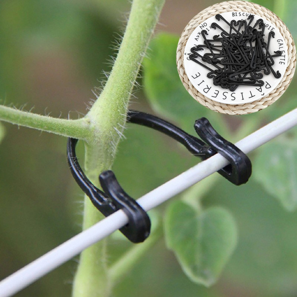 50-500PCS Vines Fastener Tied  - Gardening Tools For Vines recensione e prezzo