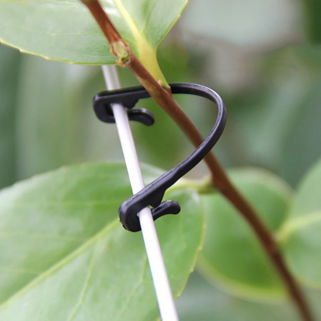 50-500PCS Vines Fastener Tied  - Gardening Tools For Vines recensione e prezzo