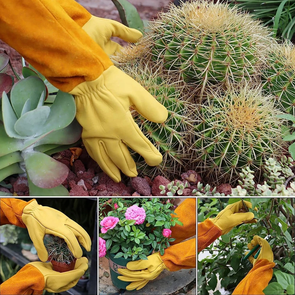 1 Pair Long Thorn Proof Rose P - Garden Gloves Thorn Proof recensione e prezzo