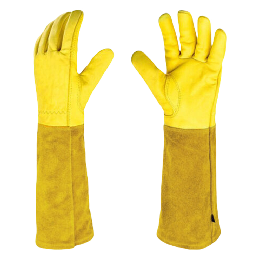 1 Pair Long Thorn Proof Rose P - Garden Gloves Thorn Proof recensione e prezzo