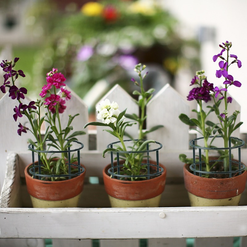 Plastic Plant Support Pile Fra - Gardening Tools For Vines recensione e prezzo