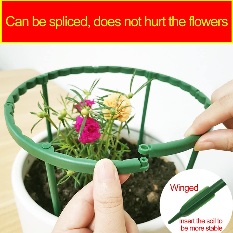Plastic Plant Support Pile Fra - Gardening Tools For Vines recensione e prezzo