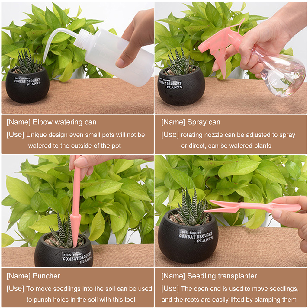 Easy To Clean Garden Succulent - Gardening Tools Pink recensione e prezzo
