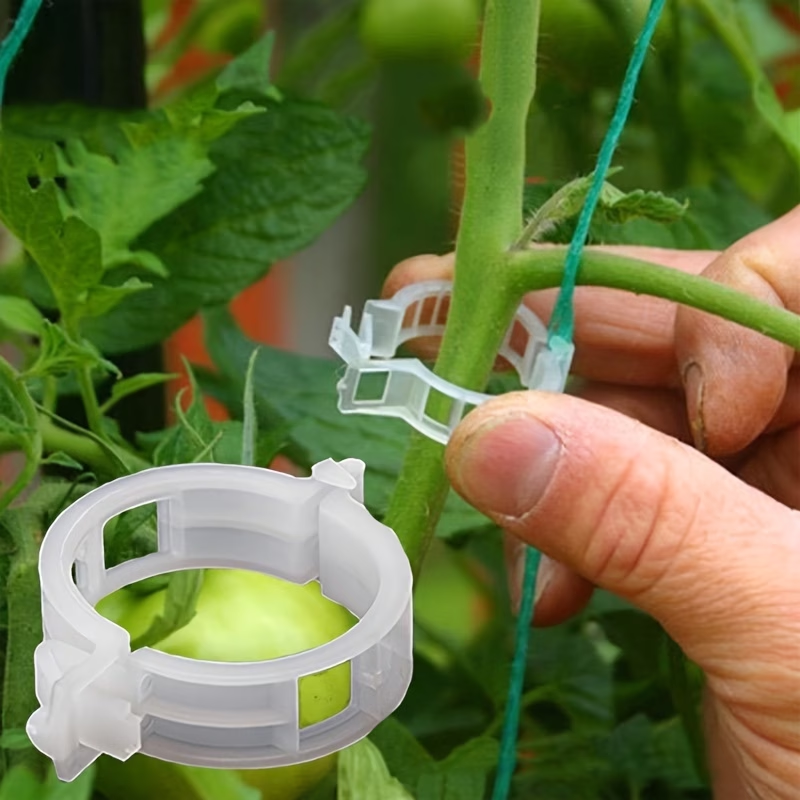 Wholesale Plant Support Clips  - Gardening Tools For Vines recensione e prezzo
