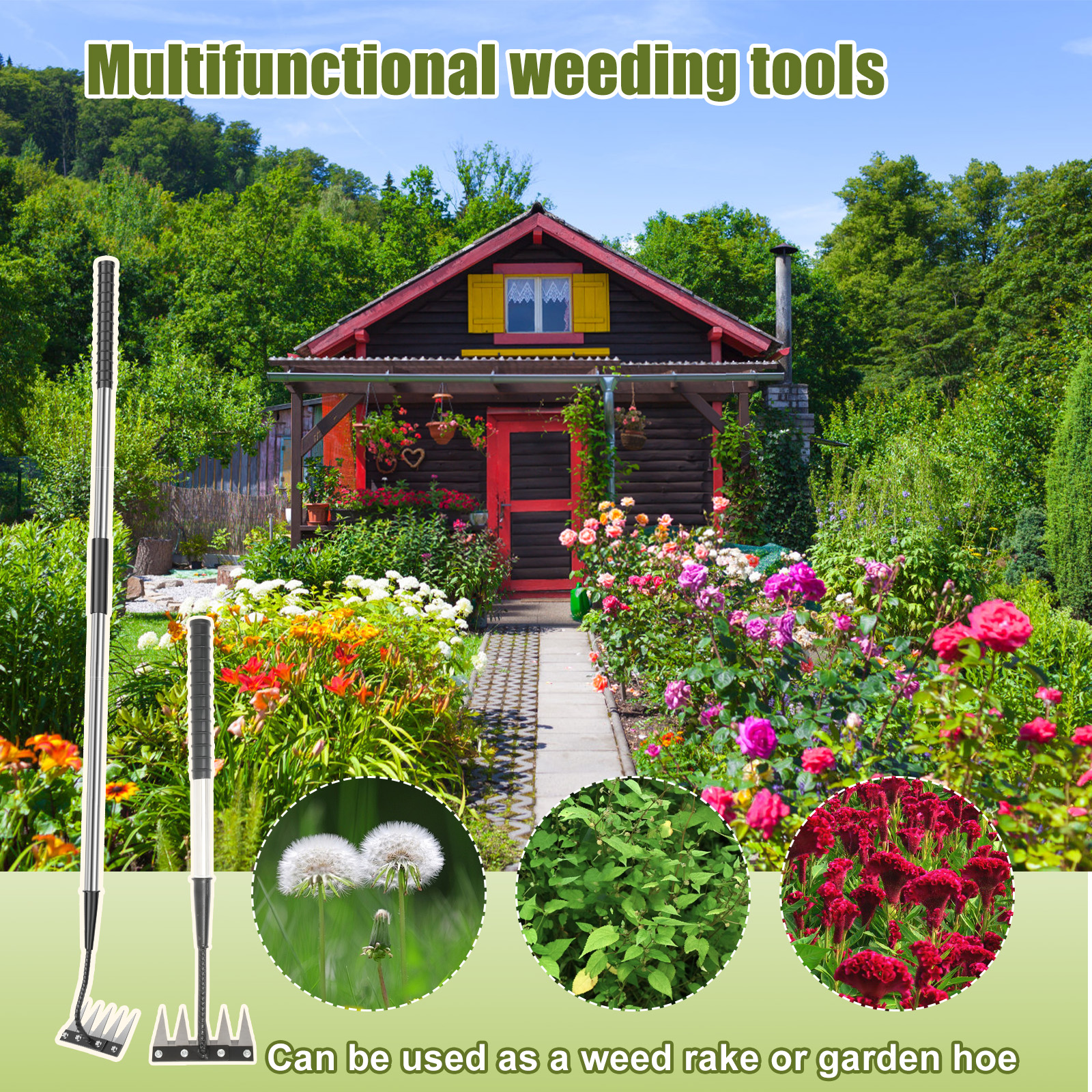 5 Teeth Stainless Steel Weedin - Gardening Tools Long recensione e prezzo