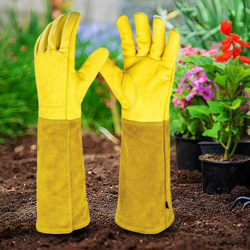 1 Pair Long Thorn Proof Garden - Garden Gloves Thorn Proof recensione e prezzo