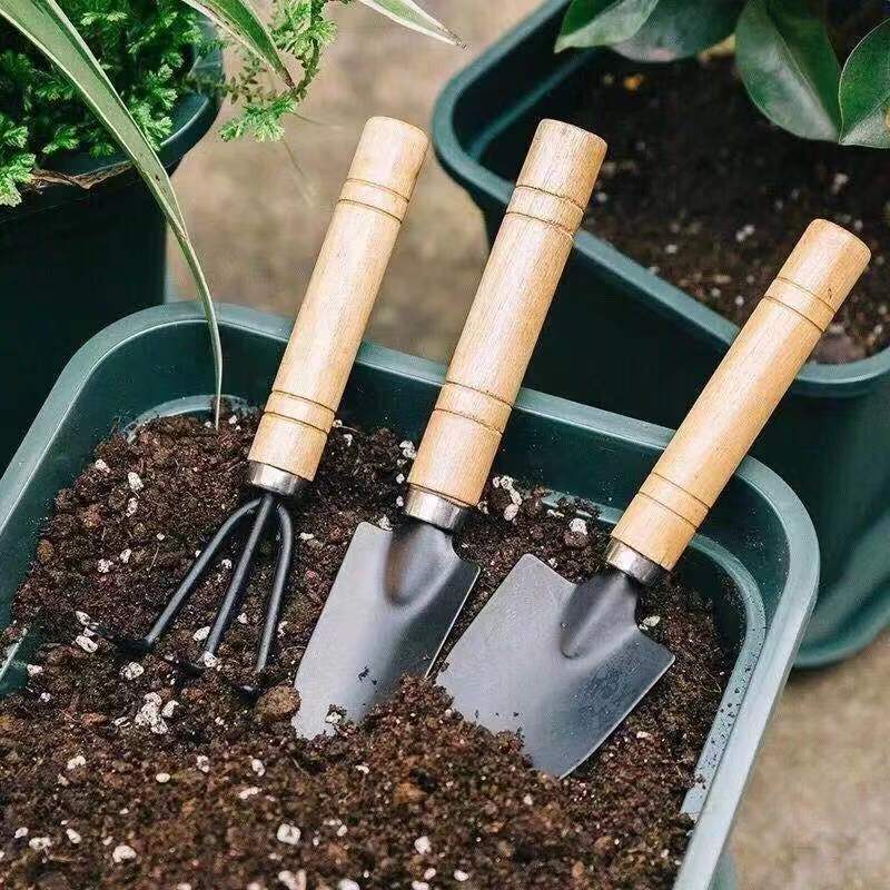 3PC/1Set Mini Gardening Tools  - Gardening Tools Equipment recensione e prezzo