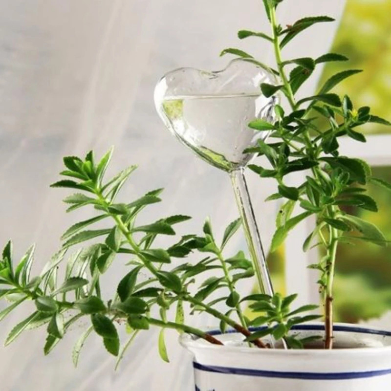 House/Garden Water Houseplant  - Gardening Tools Equipment recensione e prezzo
