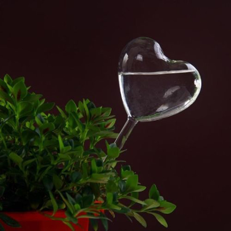 House/Garden Water Houseplant  - Gardening Tools Equipment recensione e prezzo