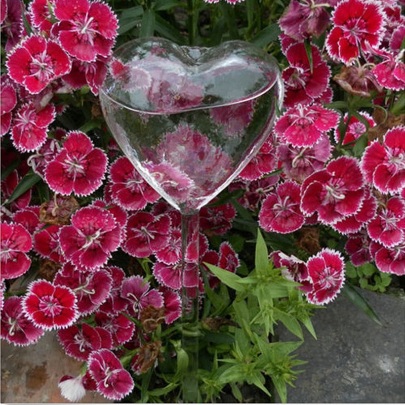 House/Garden Water Houseplant  - Gardening Tools Equipment recensione e prezzo
