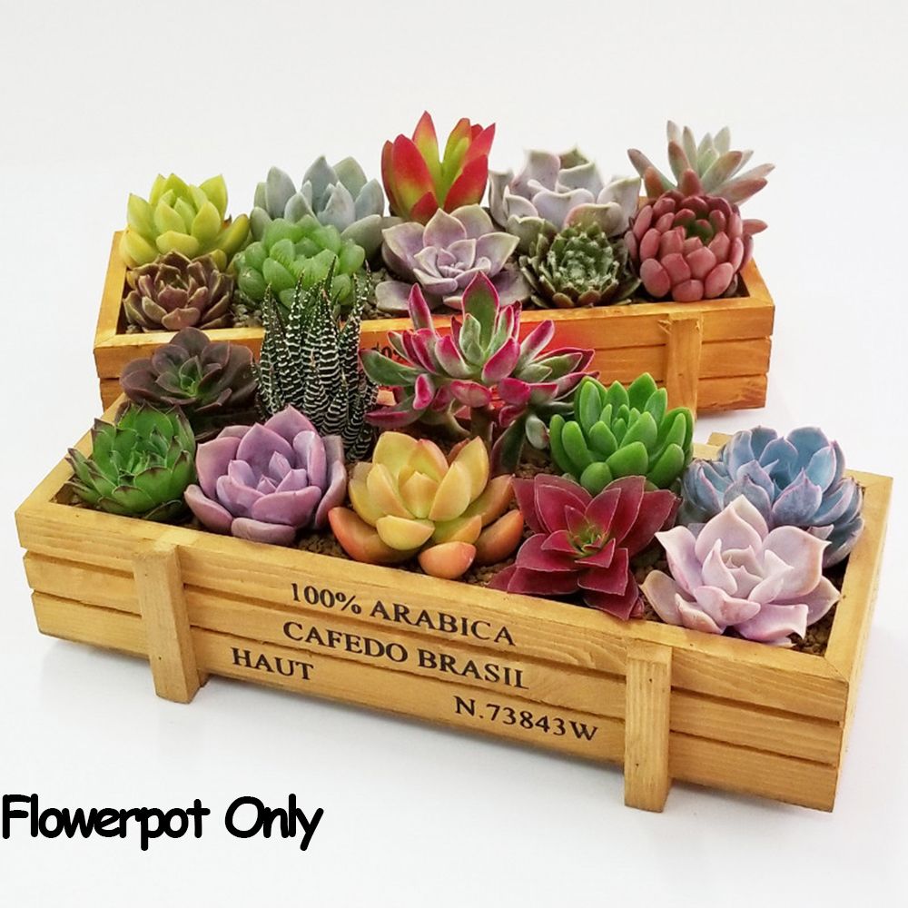 1 PC Tools Garden Decor Trough - Gardening Tools Vintage recensione e prezzo