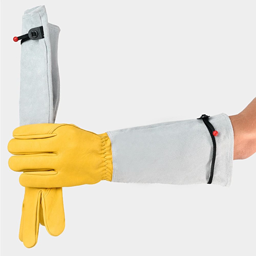 Long-sleeved Thorn Proof Garde - Garden Gloves Thorn Proof recensione e prezzo