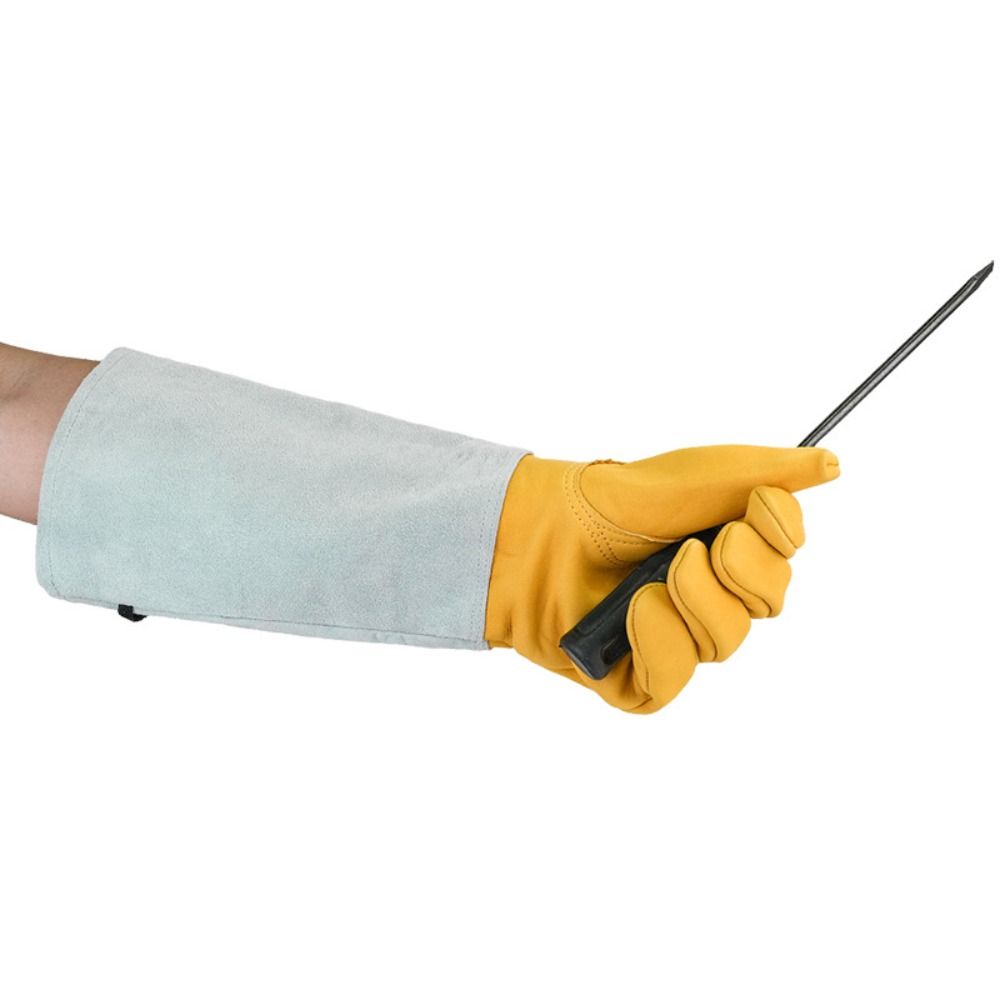 Long-sleeved Thorn Proof Garde - Garden Gloves Thorn Proof recensione e prezzo