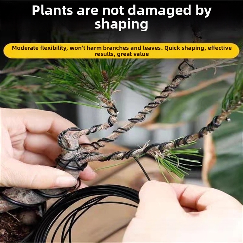 1.5MM Bonsai Wires Aluminum Bo - Gardening Tool Diy recensione e prezzo